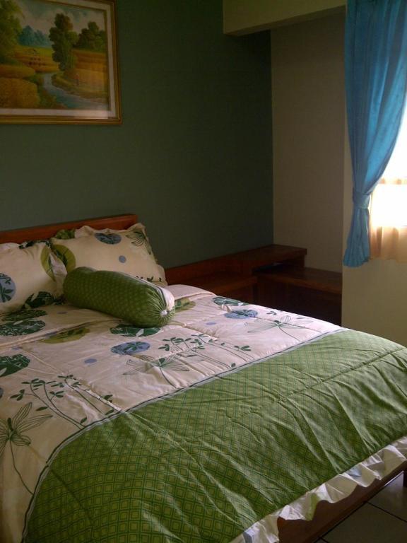 Amellia Pasteur 2*