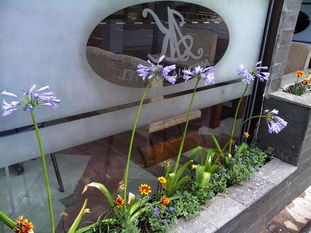 Amellia Pasteur Hotel 2*